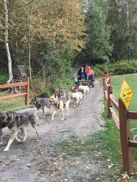 Alaska Cruise & Land gallery image 7