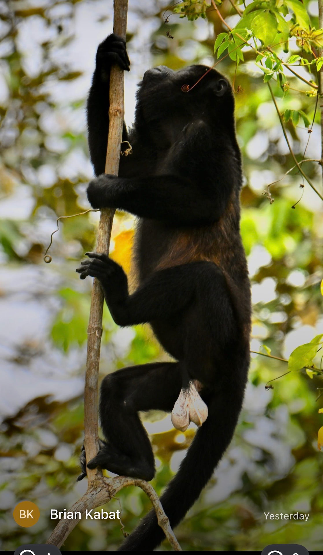 Costa Rica gallery image 11