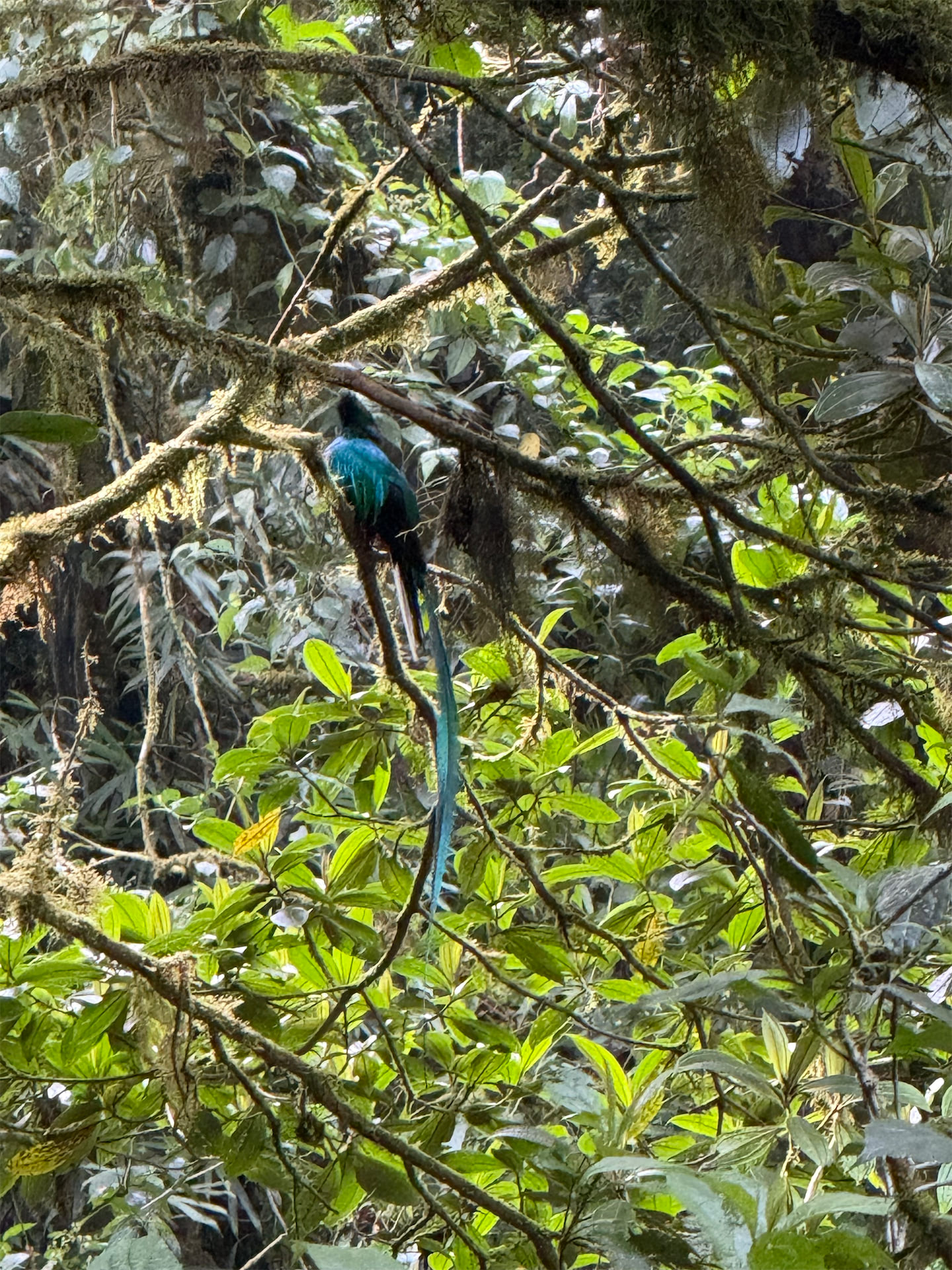 Costa Rica gallery image 16