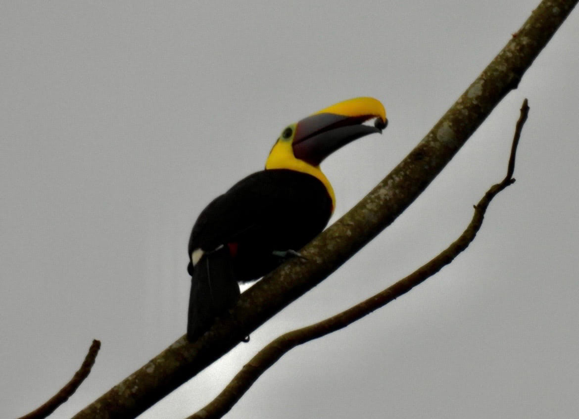 Costa Rica gallery image 2