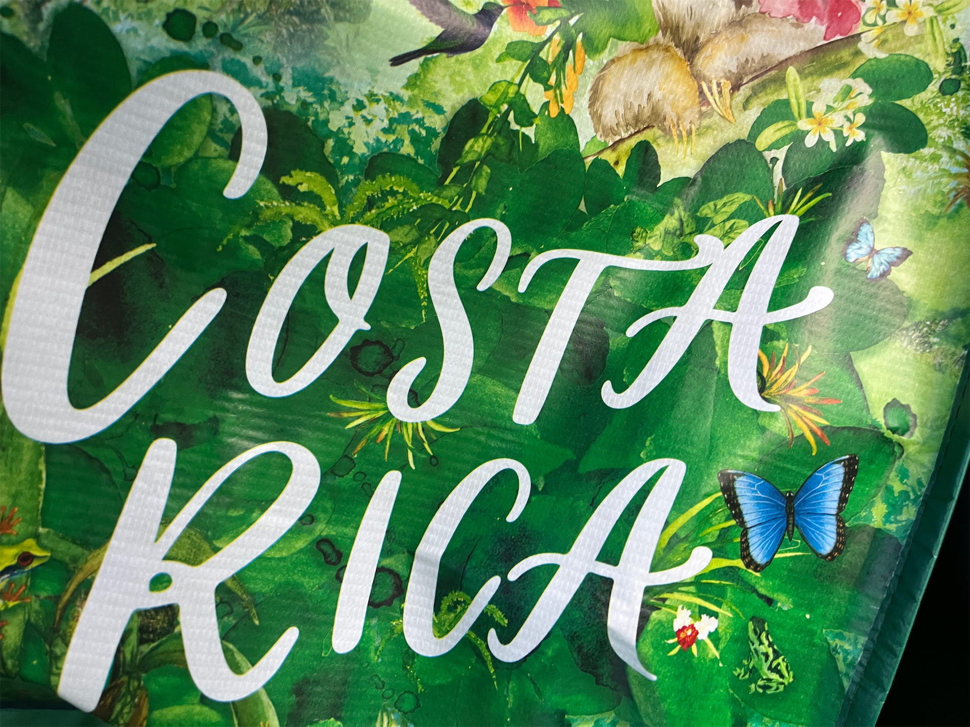 Costa Rica gallery image 21