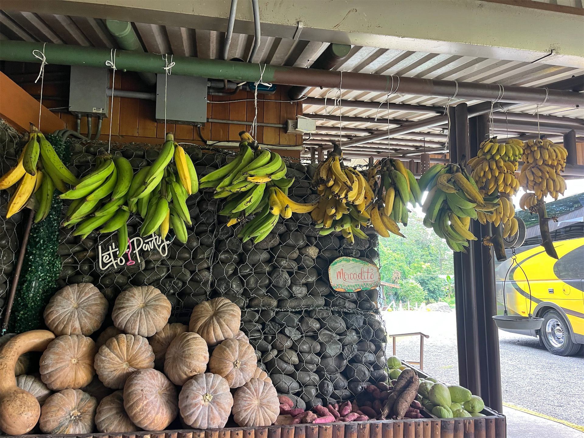 Costa Rica gallery image 26