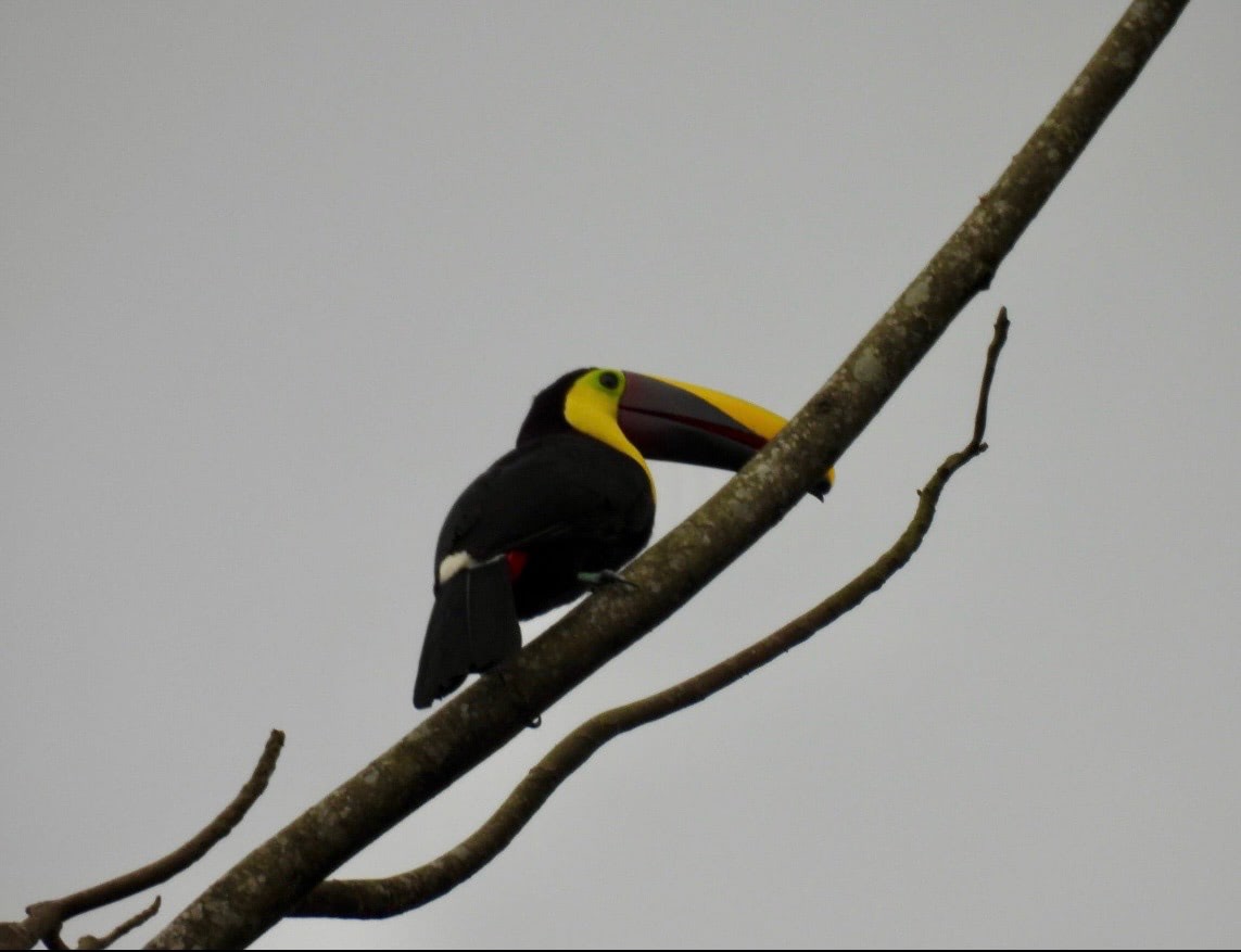 Costa Rica gallery image 3