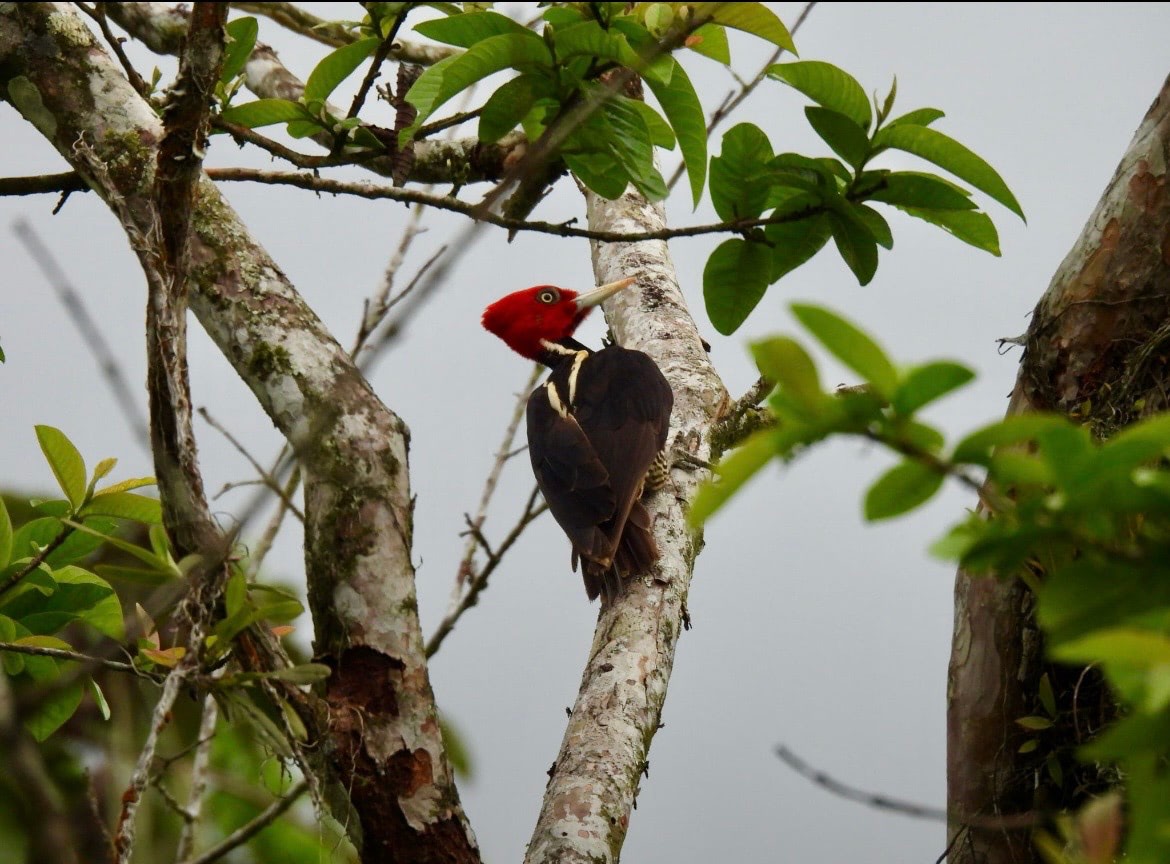 Costa Rica gallery image 4