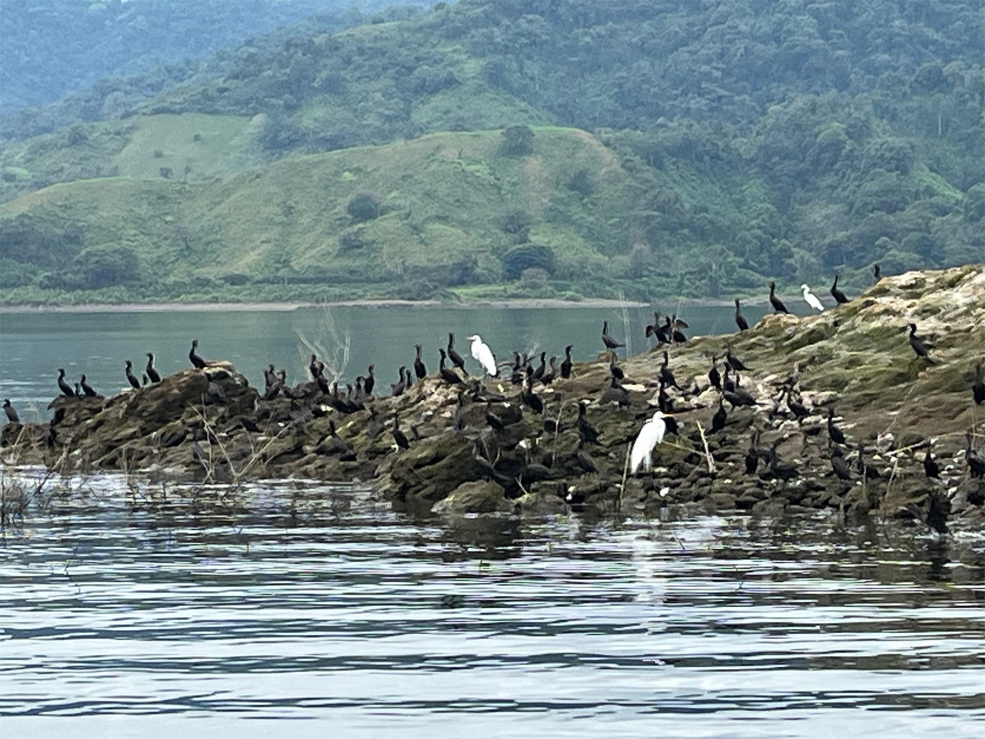 Costa Rica gallery image 7