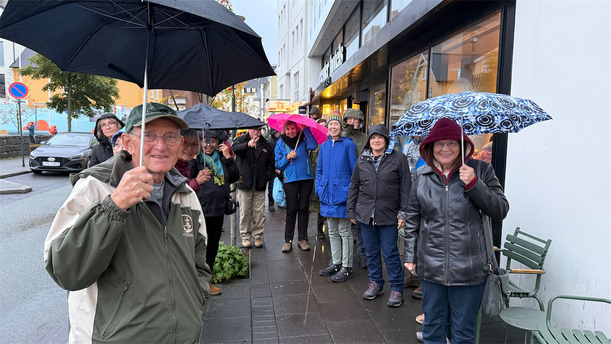 Iceland gallery image 17